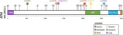 Atypical ATMs: Broadening the phenotypic spectrum of ATM-associated hereditary cancer